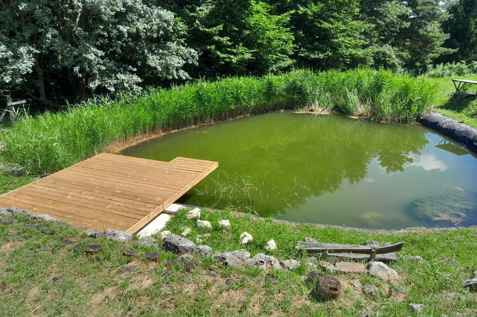 Hidden Authentic Haven Apartments - Two Bedroom Apartment with Balcony-Outdoor