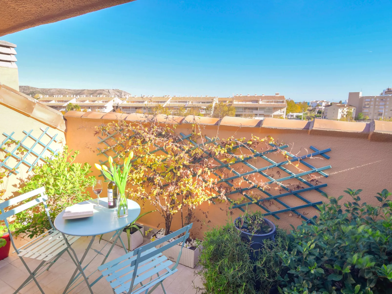 Moreras del Saladar-Outside