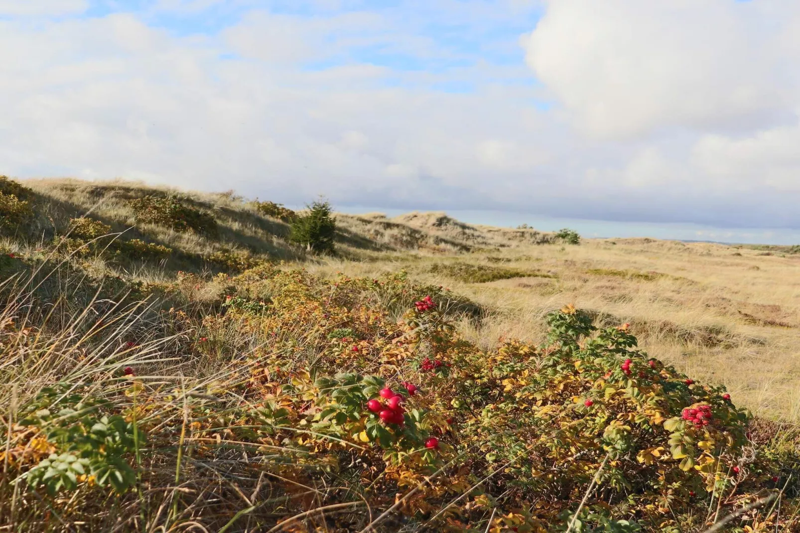 4 Sterne Ferienhaus in HALMSTAD-Nicht zugeordnet