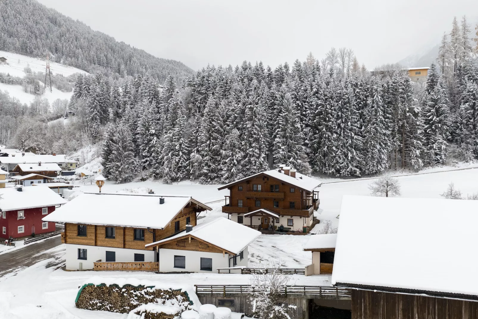 Apartment "Sonnberg"-Area within 5km in winter