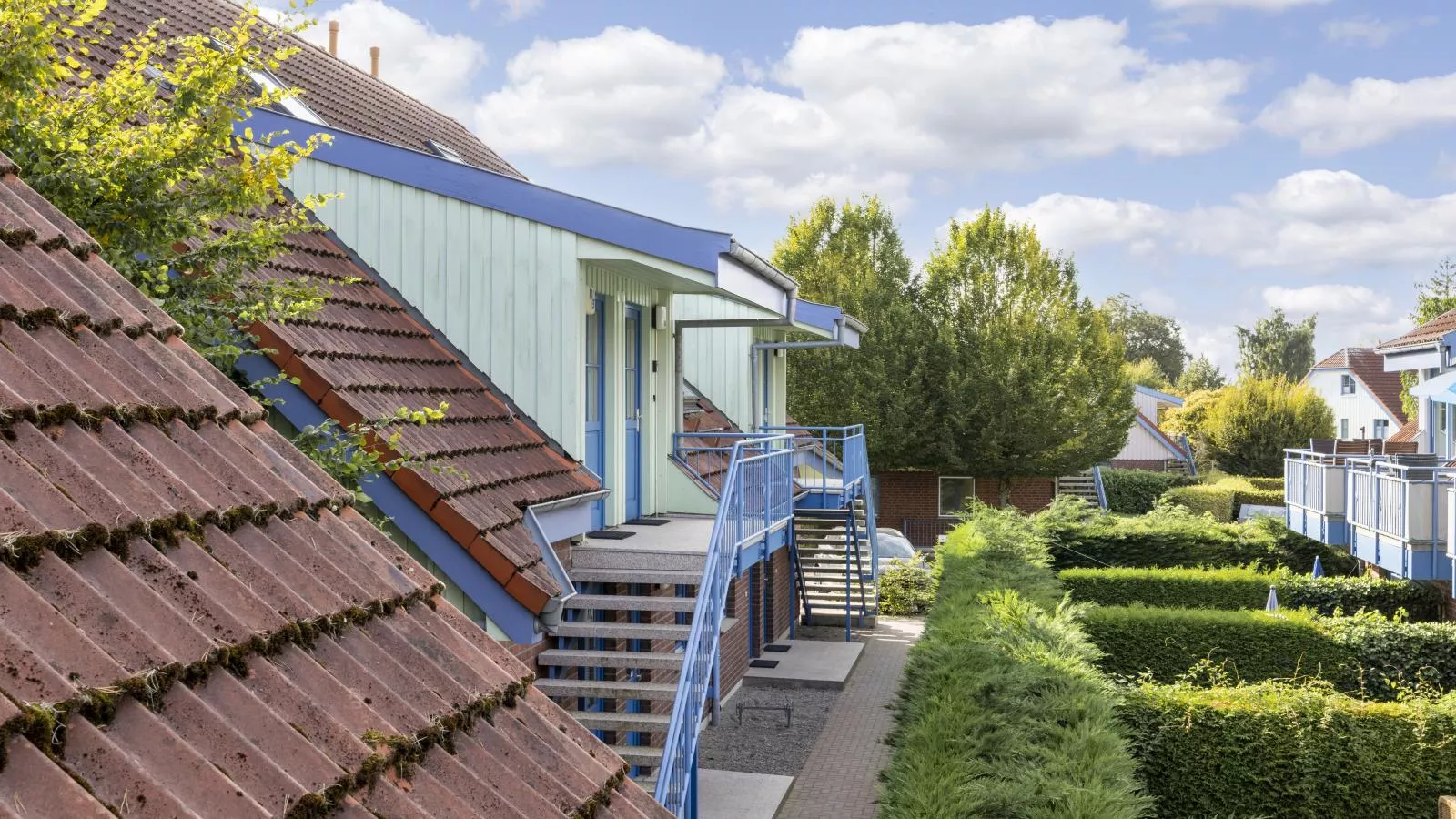 Papillon 11-5-Exterior in summer