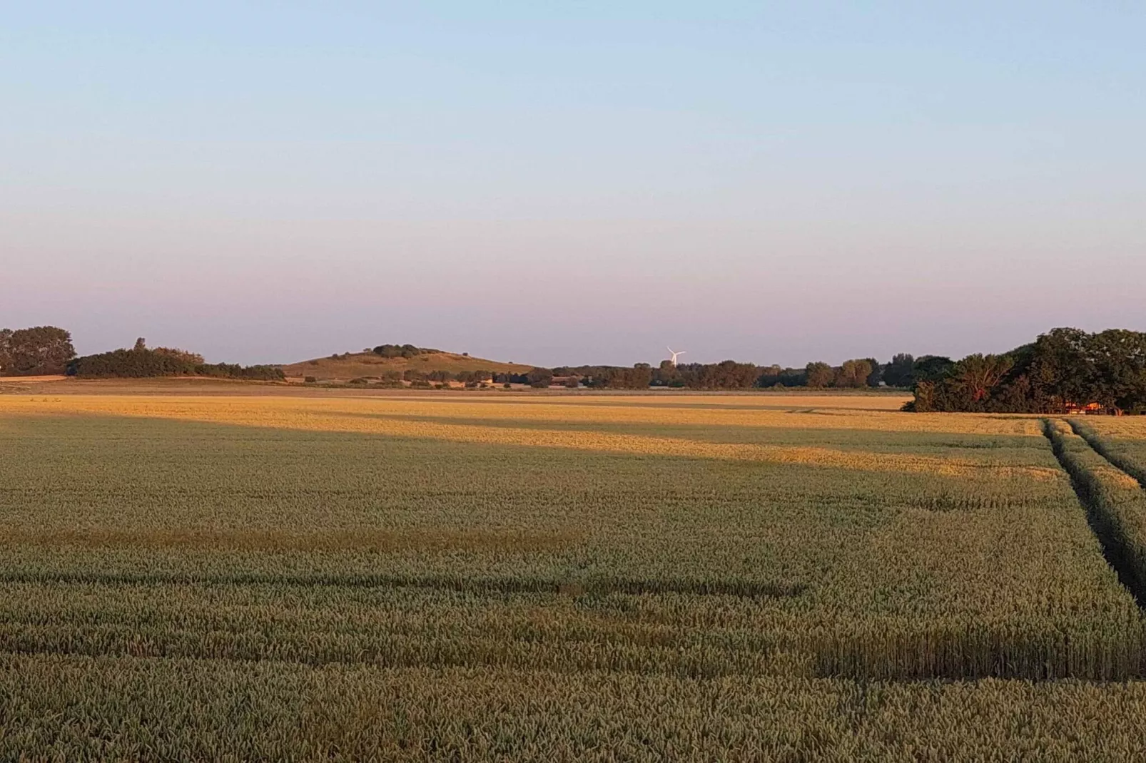 5 Sterne Ferienhaus in Bagenkop-Aussicht