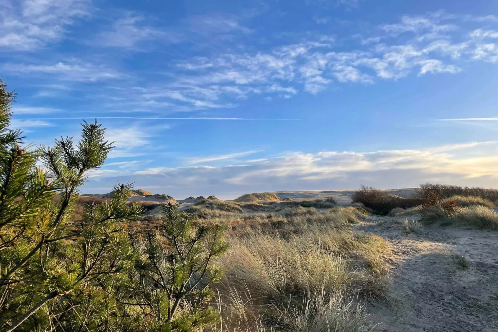 5 star holiday home in Ålbæk-View