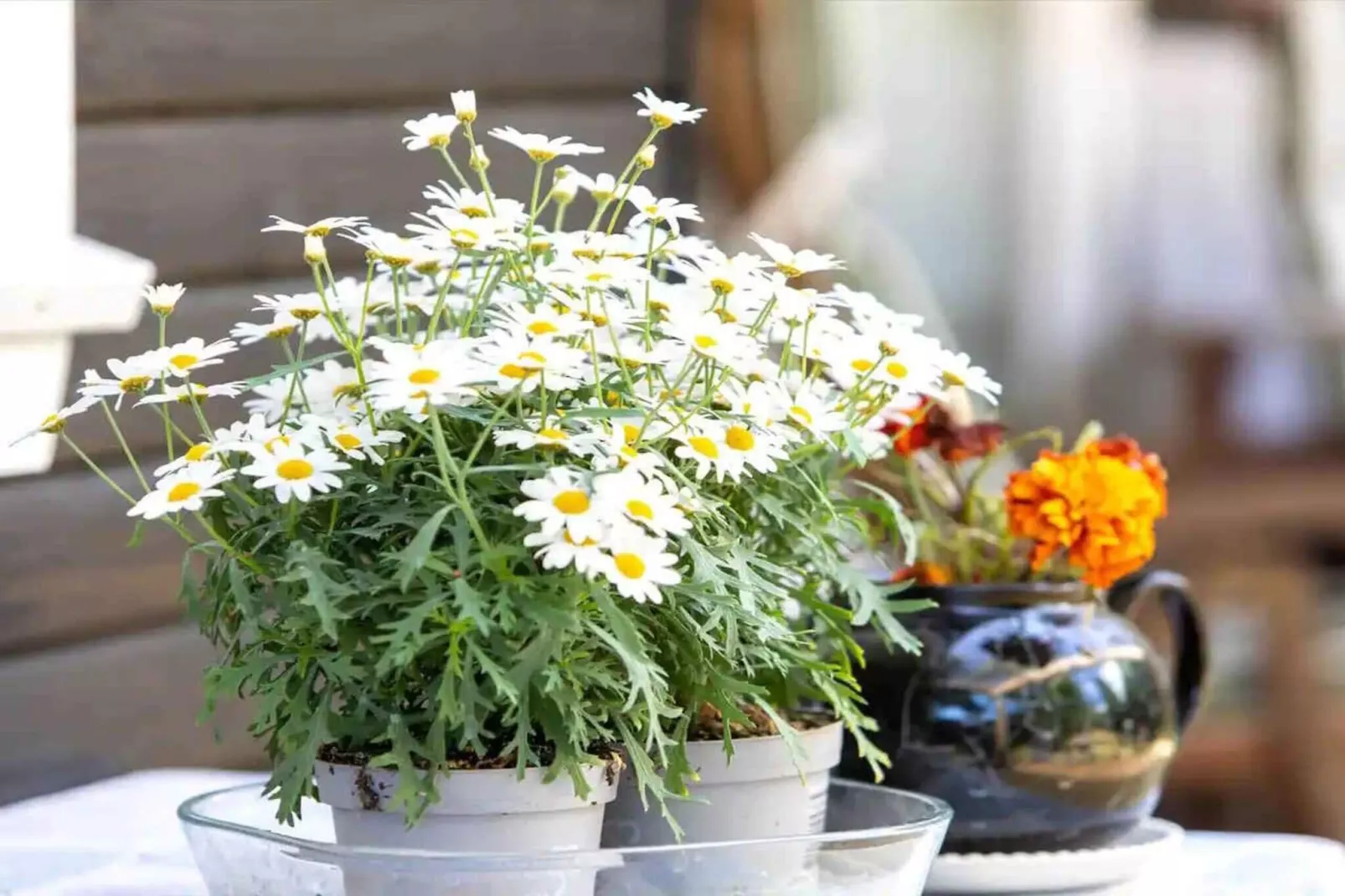 5 etoiles maison de vacances a Nykøbing Sj-Intérieur