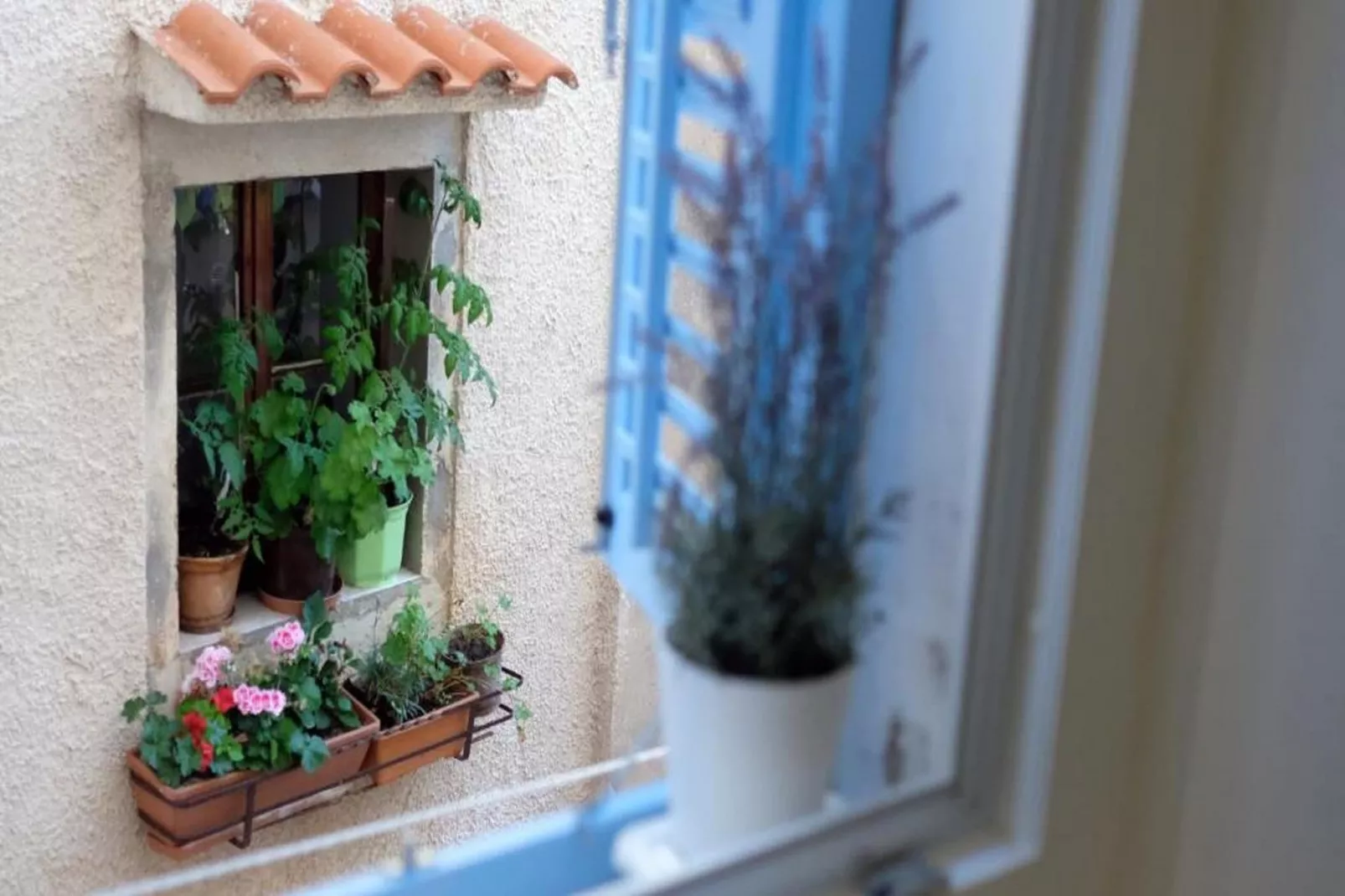 Apartments Blue Lavender - Two Bedroom Apartment-Outdoor