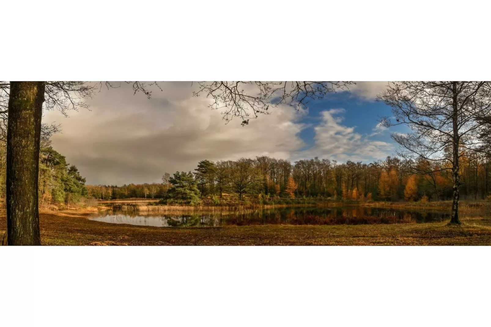 Cosy Lodge | 6 persoons - Areas within 20km in summer