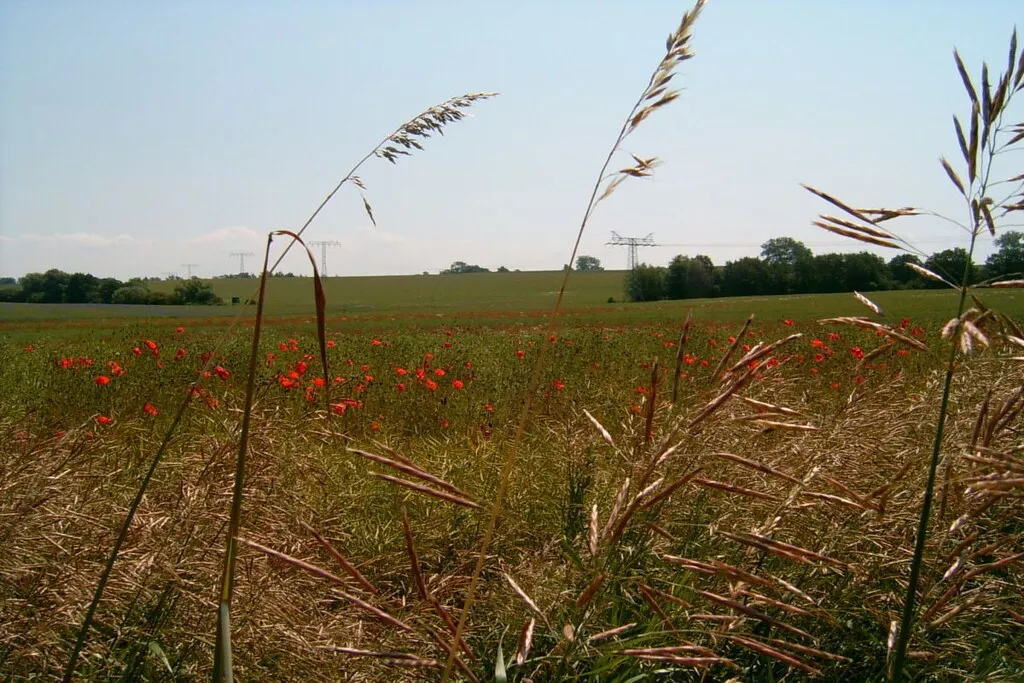 192307-Nicht zugeordnet