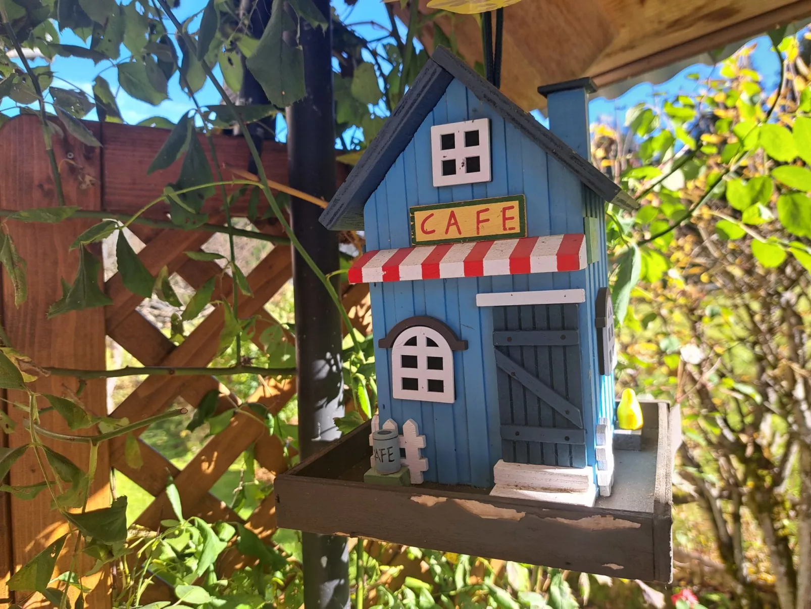 Appartement 1-Drinnen