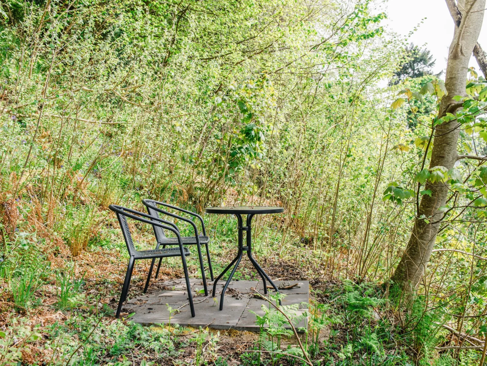 Wayside Bothy-Outside