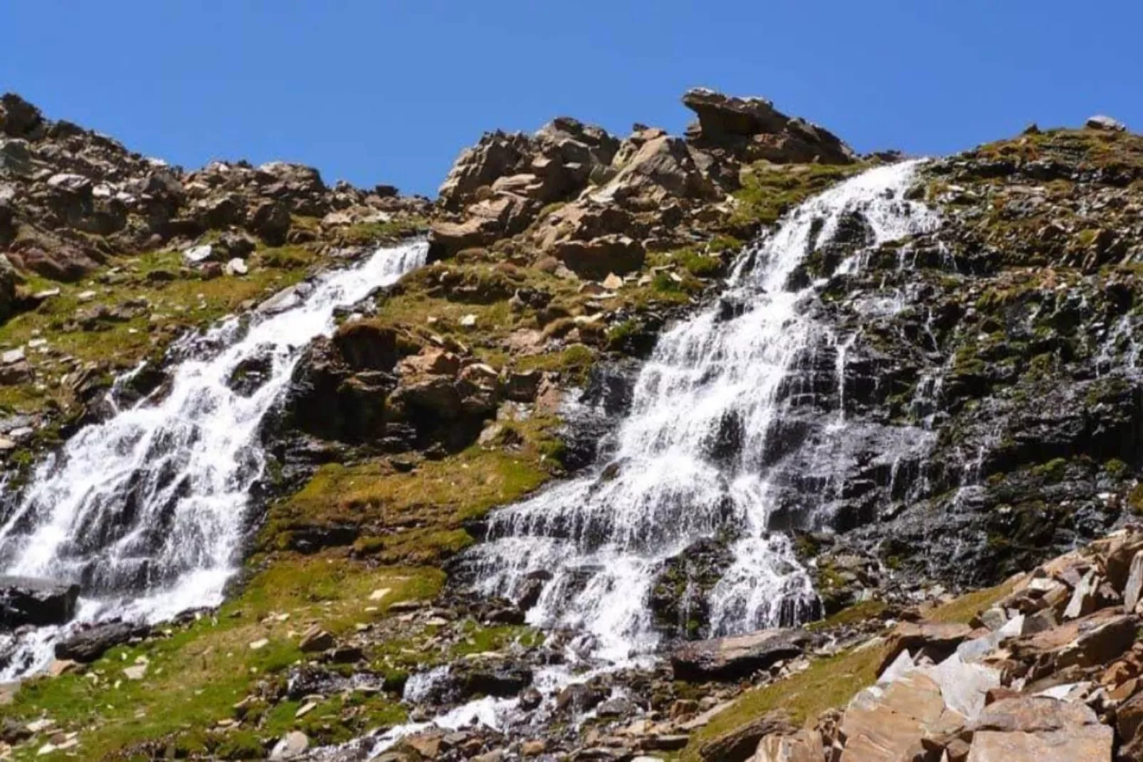 1468-Montebajo-Areas within 5km in summer