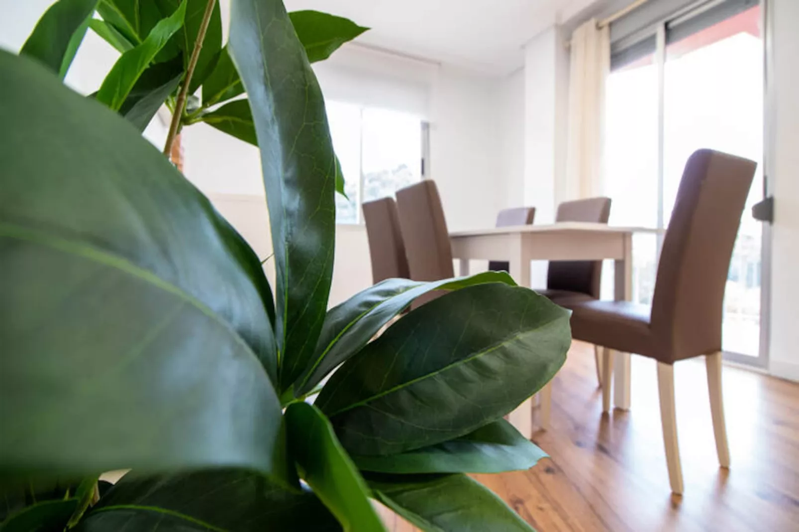 Appartements à Puerto de Sagunto-Non tagué