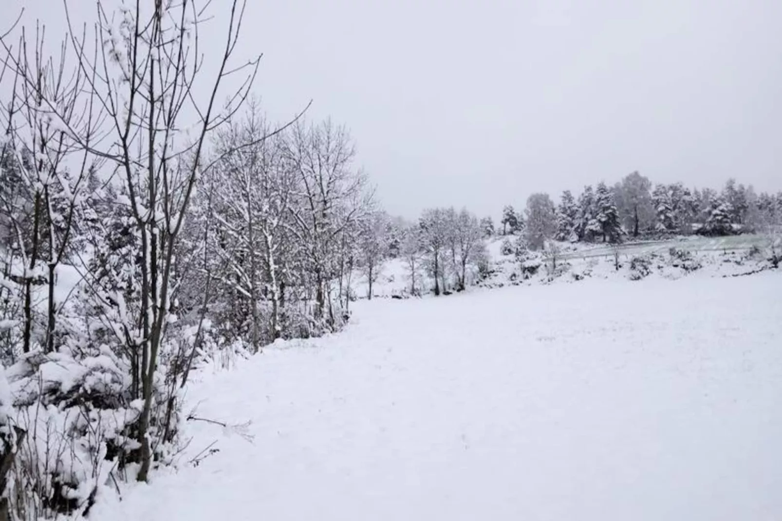 Gîte de France La grange d'elie 3 épis-Untagged