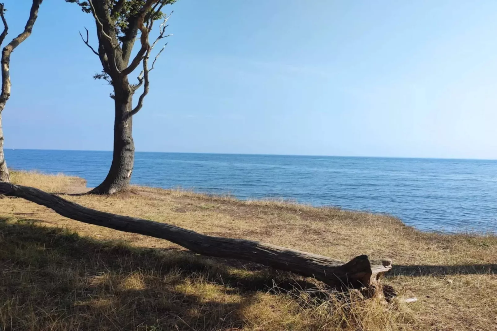 Family cottage for eight guests - Water view