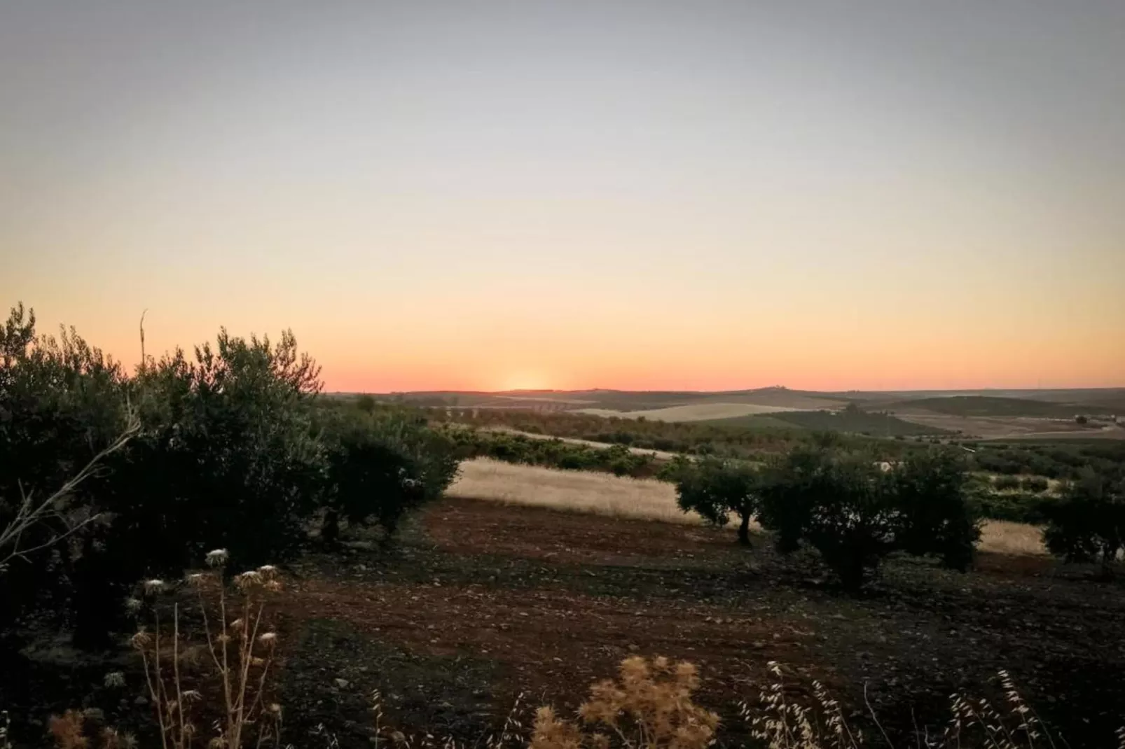 Villapark Ehzerburg 2-Areas within 20km in summer