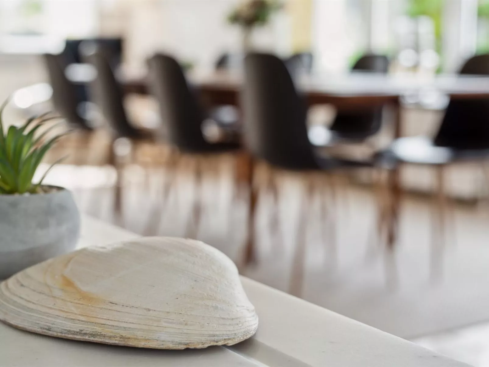 "Kita" - 500m from the sea-Dedans