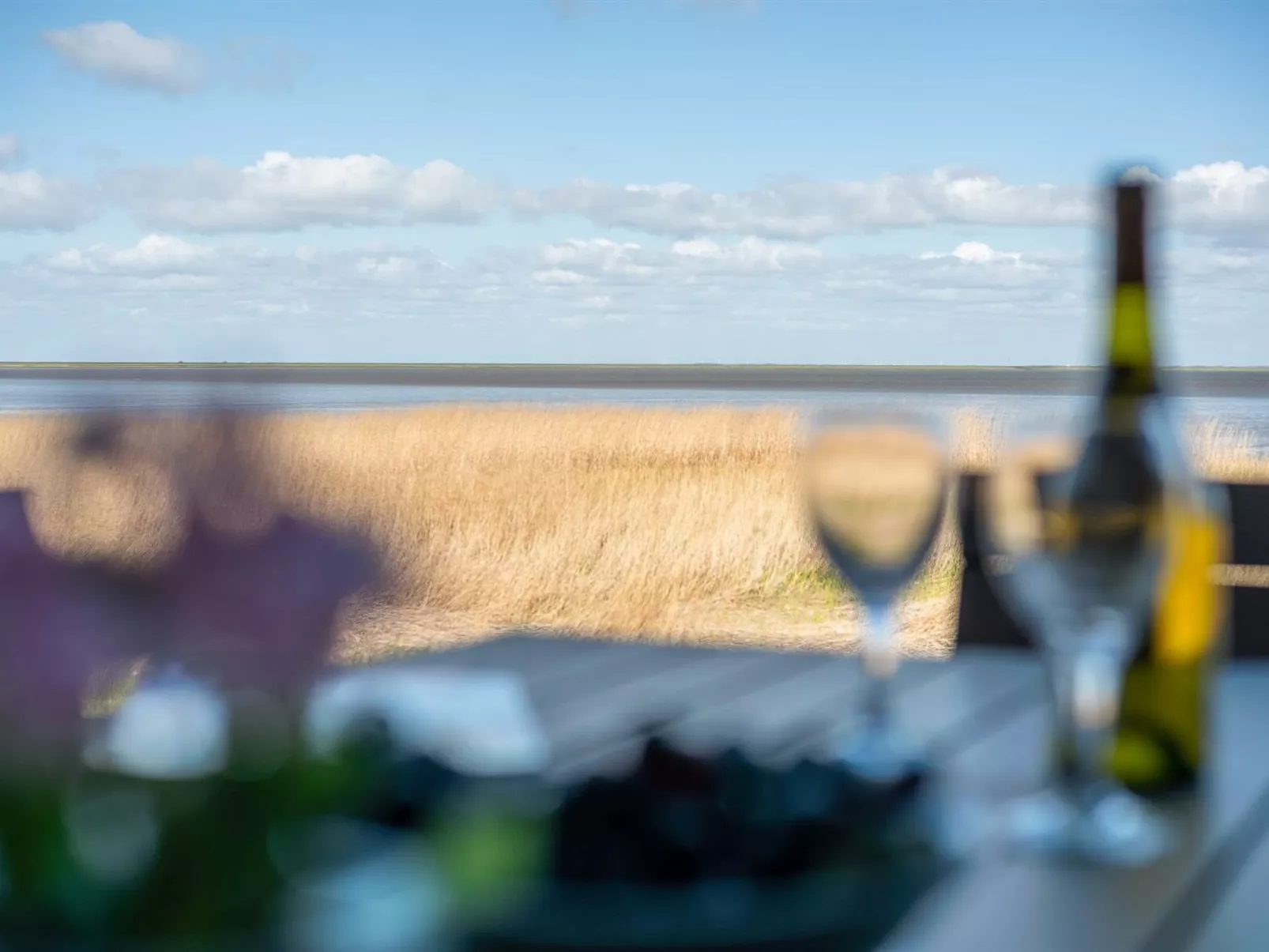 "Deljan" - 3.5km from the sea-Draußen