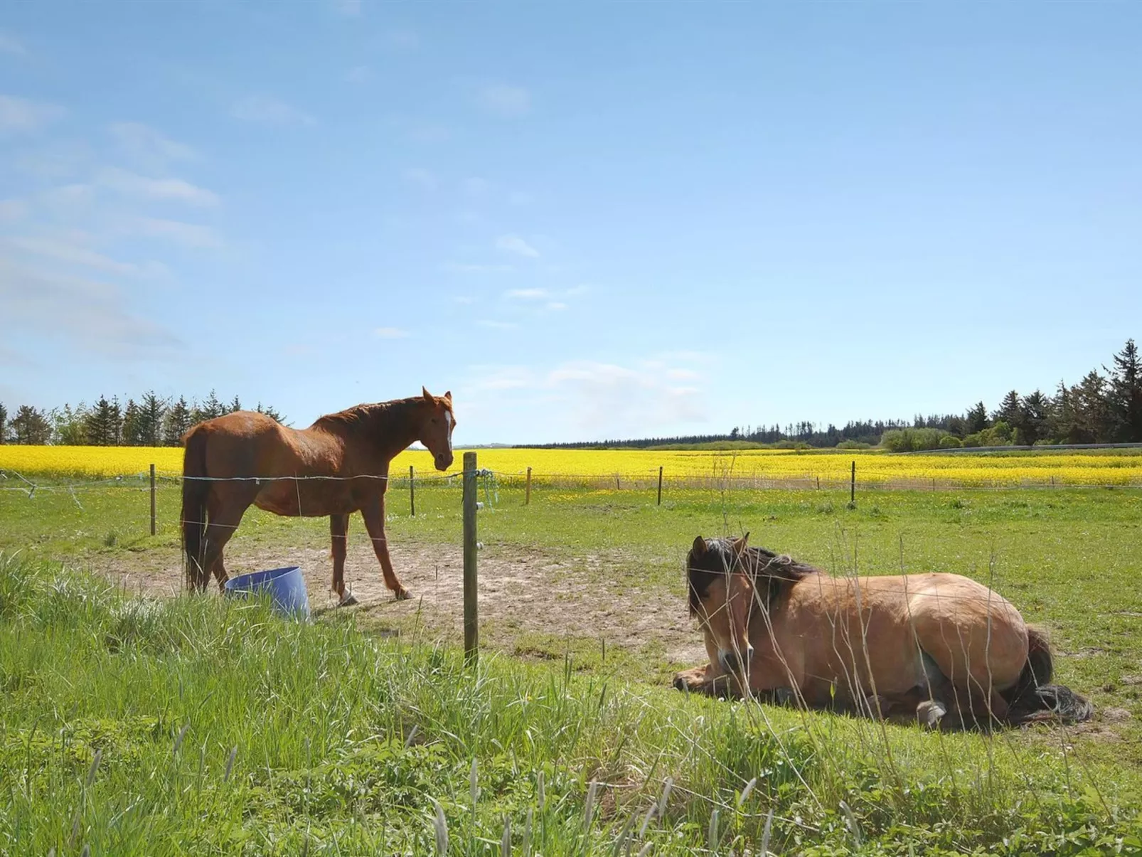 "Sophia" - 8km from the sea-Outside