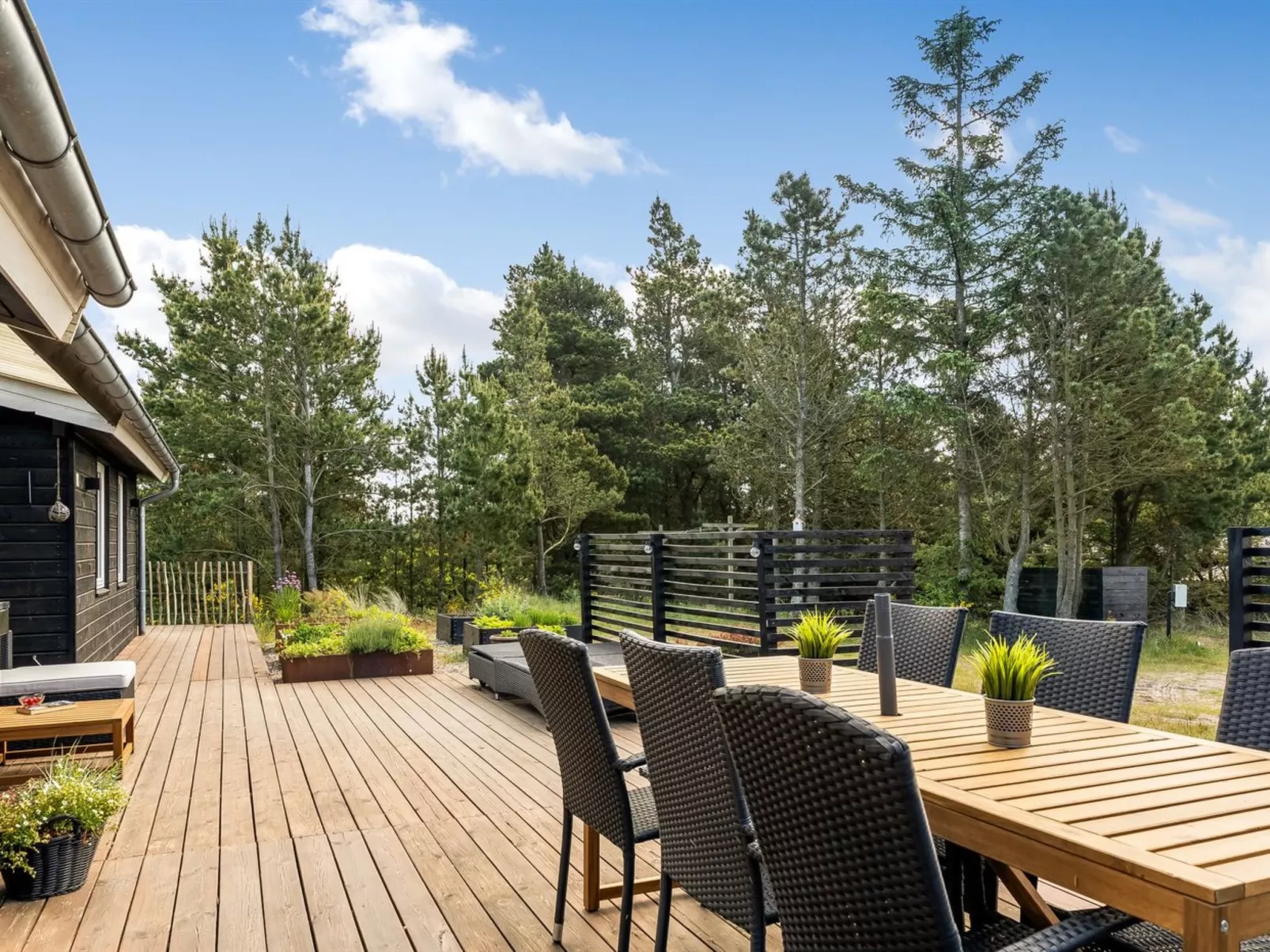 "Noralee" - 3.5km from the sea-Outside