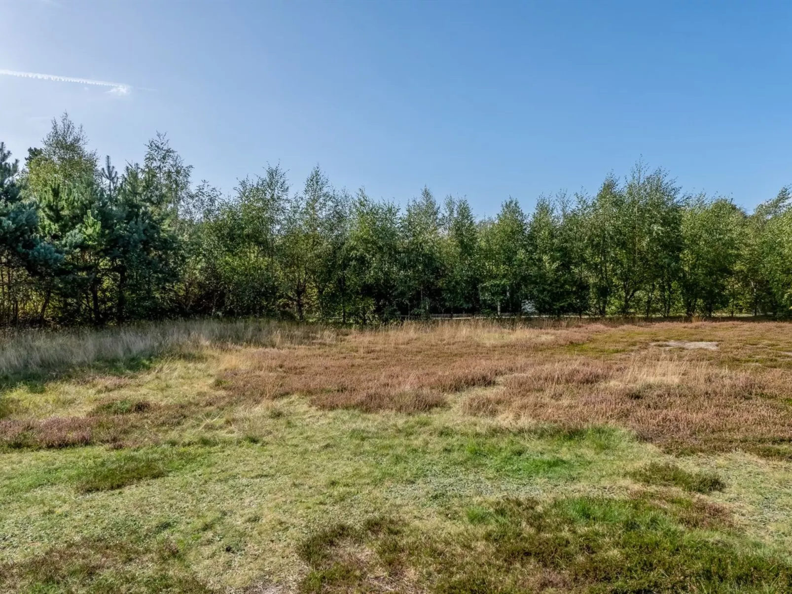 "Jurgis" - 300m from the sea-Draußen