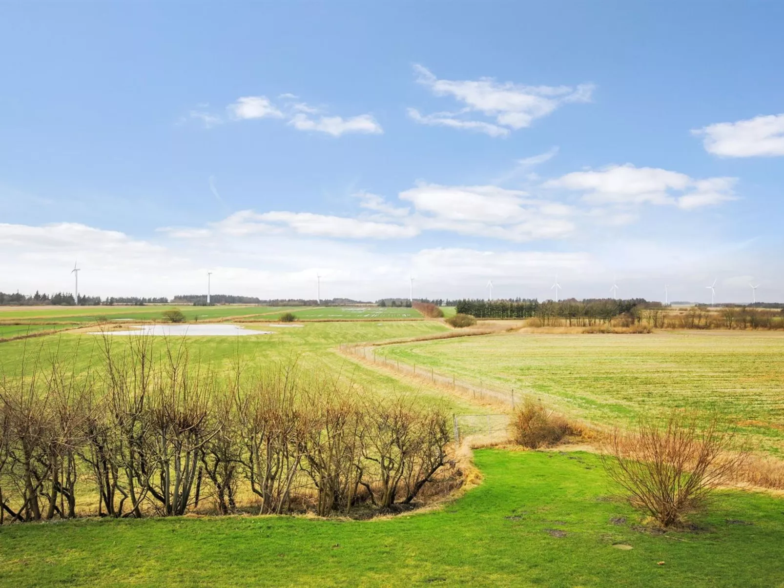 "Millie" - 3km to the fjord-Outside