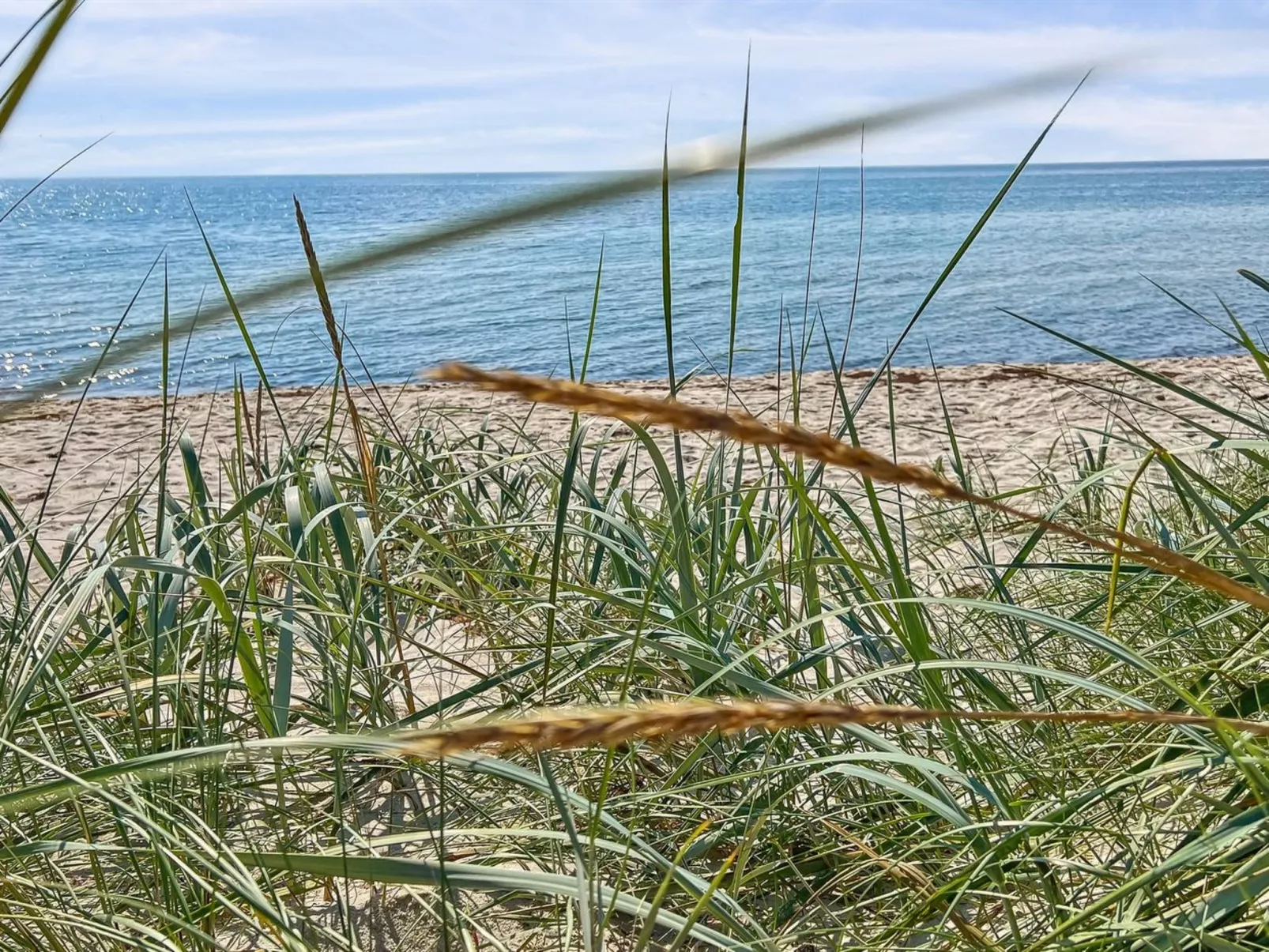 "Elsia" - 280m from the sea-Dehors