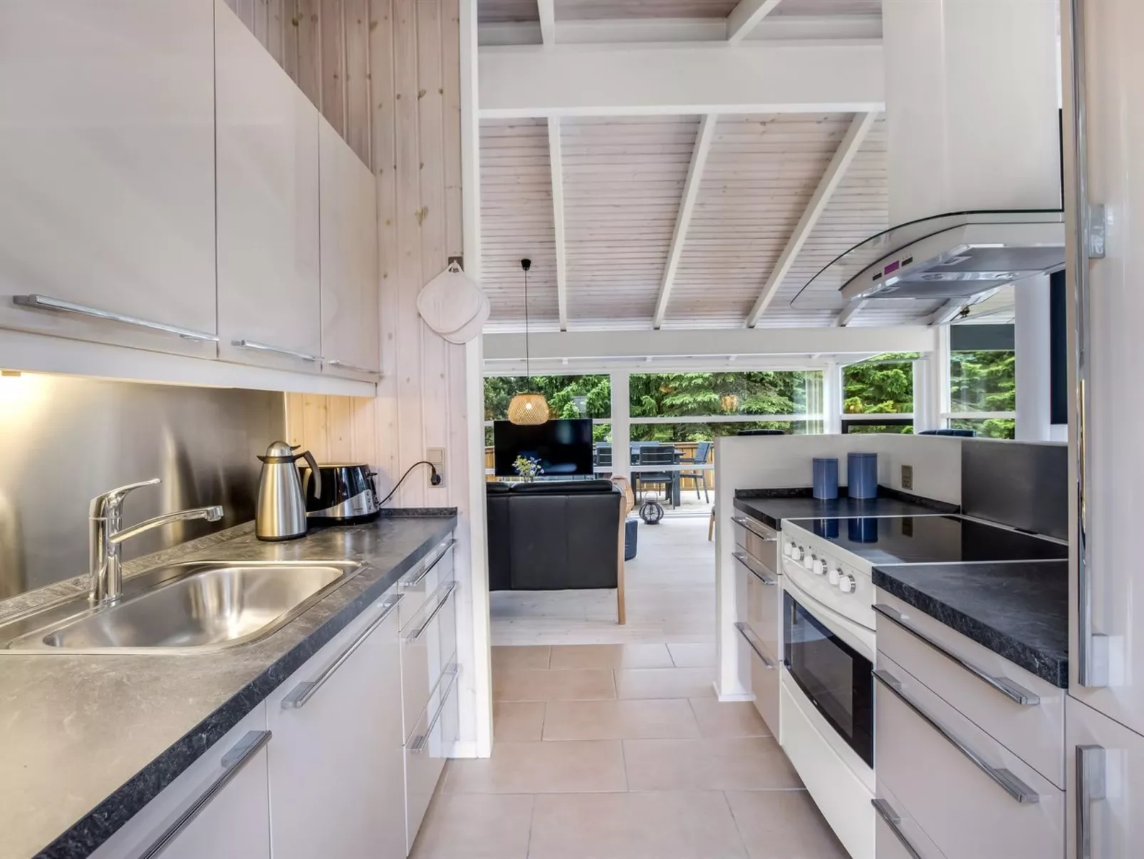 "Ingwin" -  from the sea-Dedans