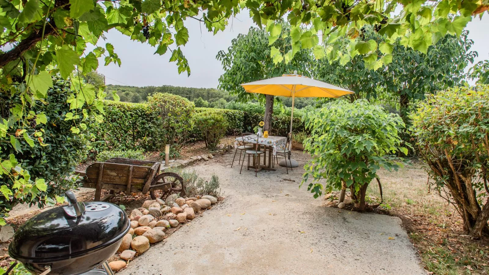 Tournesol-Terrasse / balcon