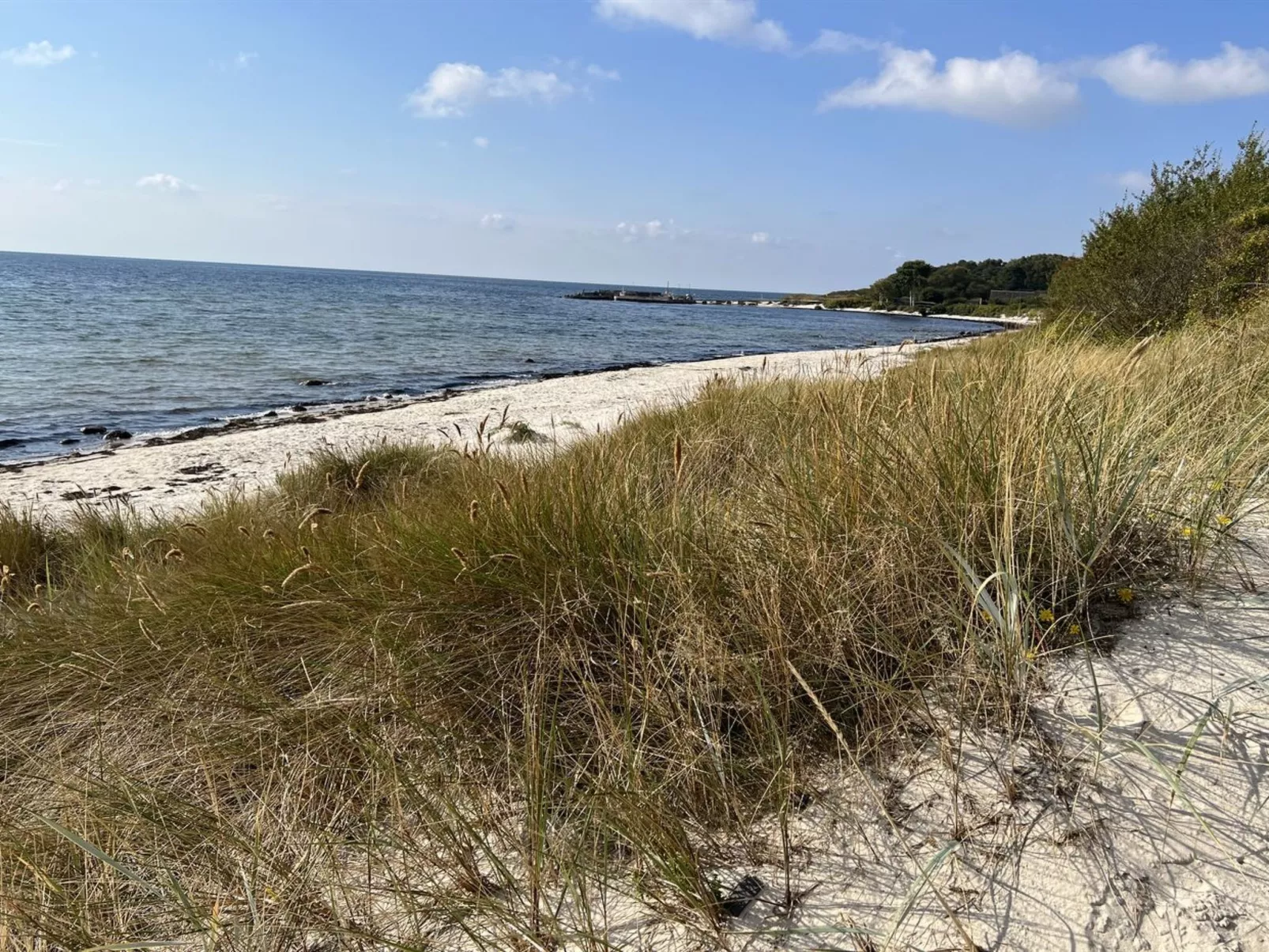 "Eirik" - 700m from the sea-Outside