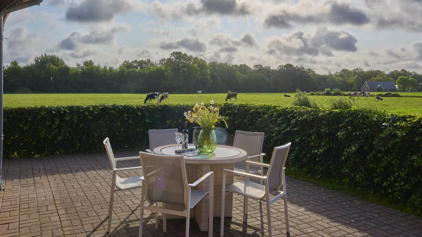 T Achterhoes-Terrace balcony