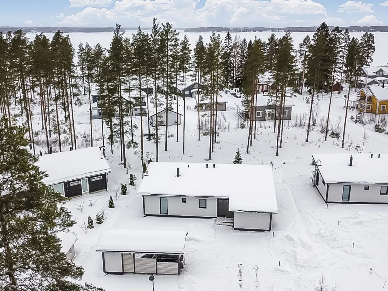 Villa kuortane-Dedans