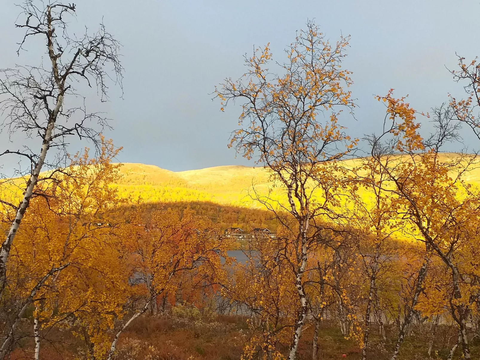 Willa kiiruna-Drinnen