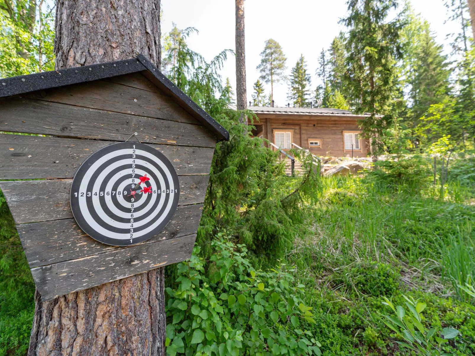 Apilan rauha-Drinnen