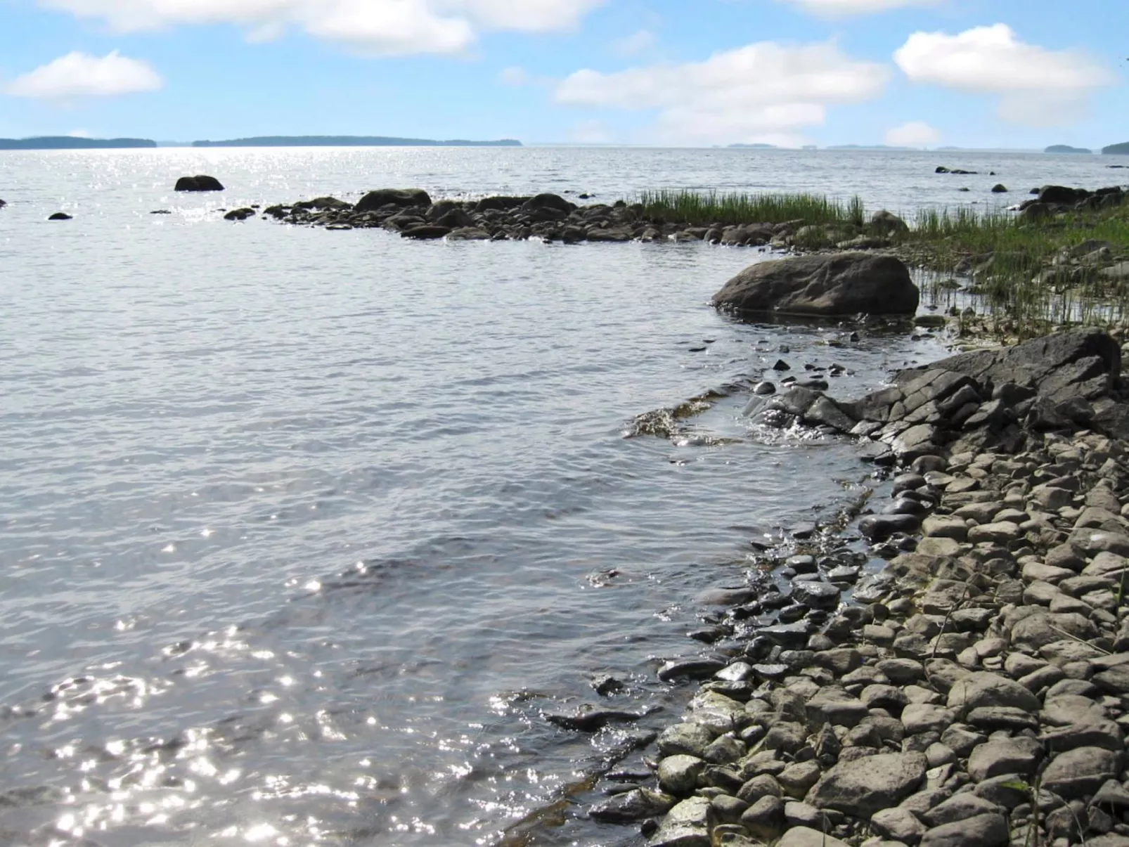 Amero purnu 2-Dedans