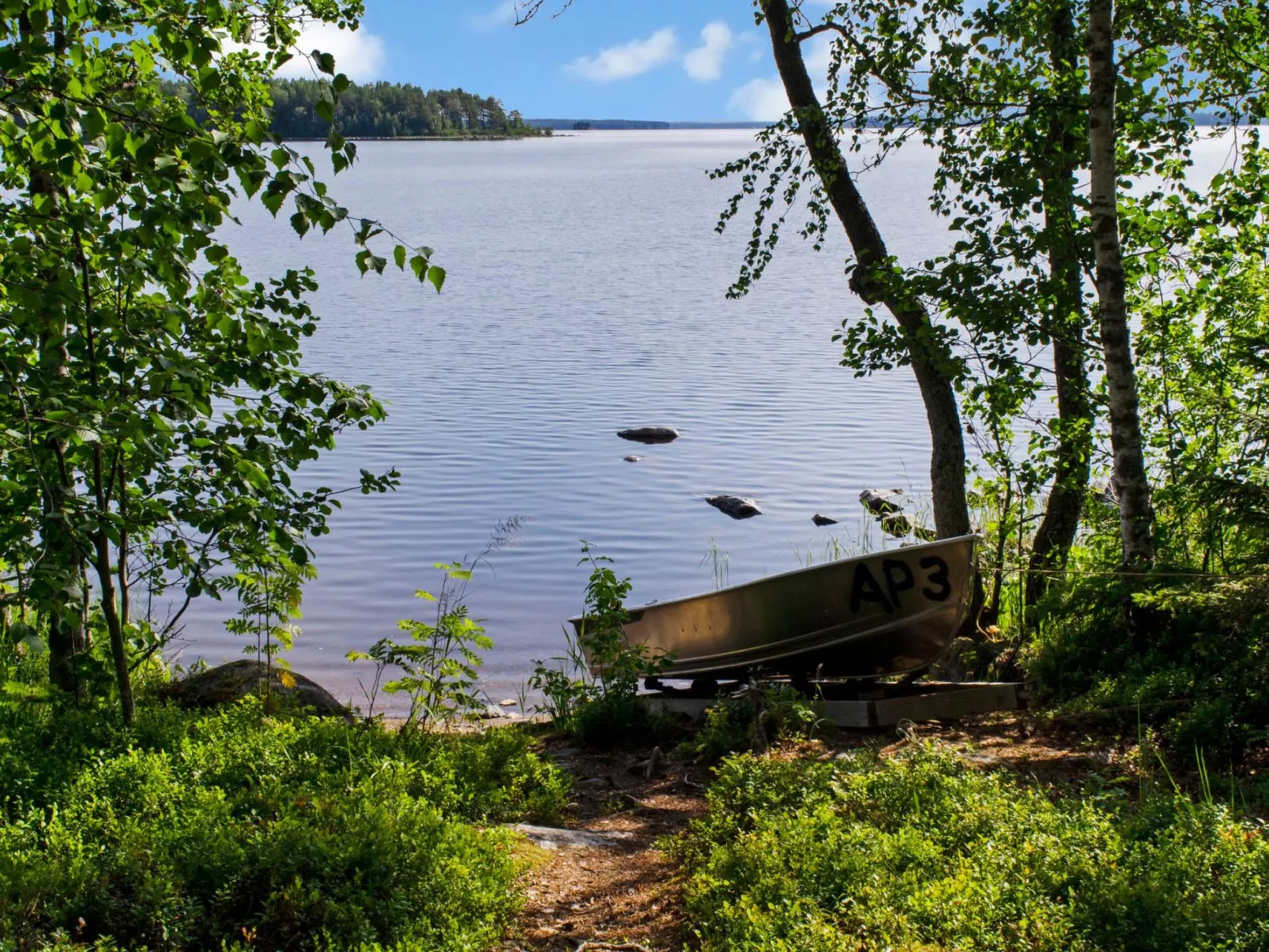 Amero purnu 3-Dedans