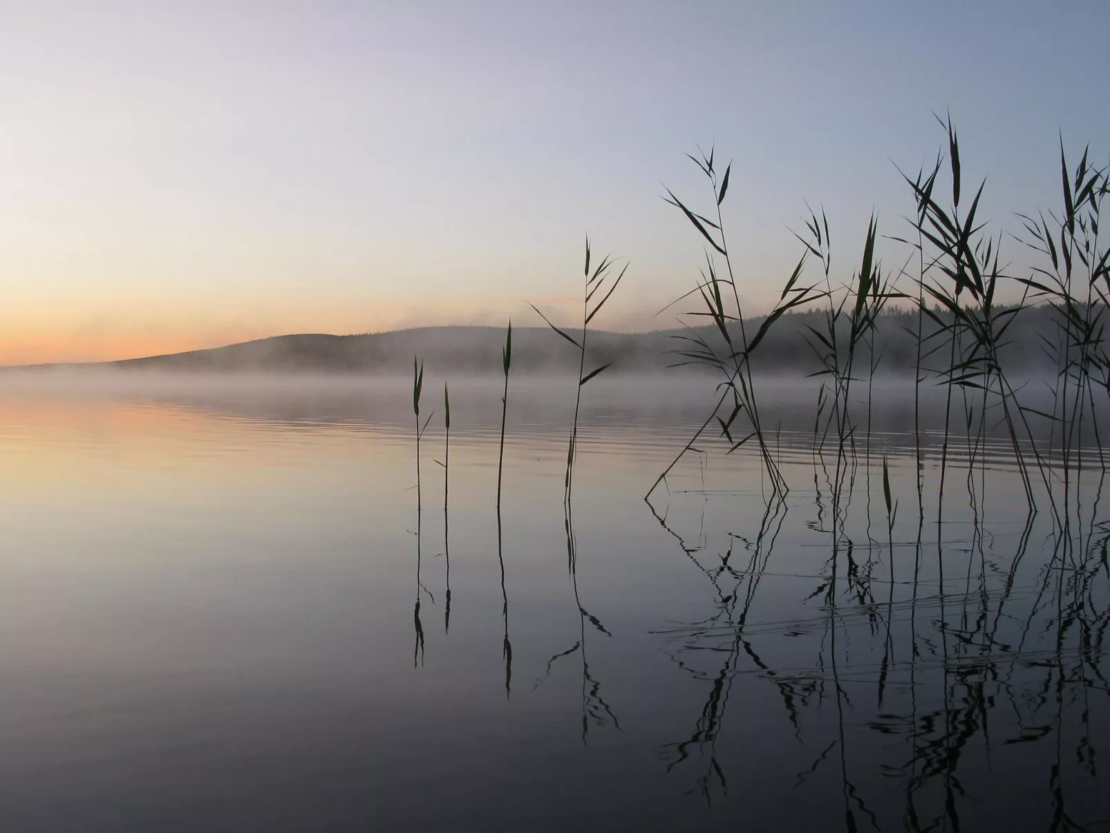 Teppolan rinne-Dedans