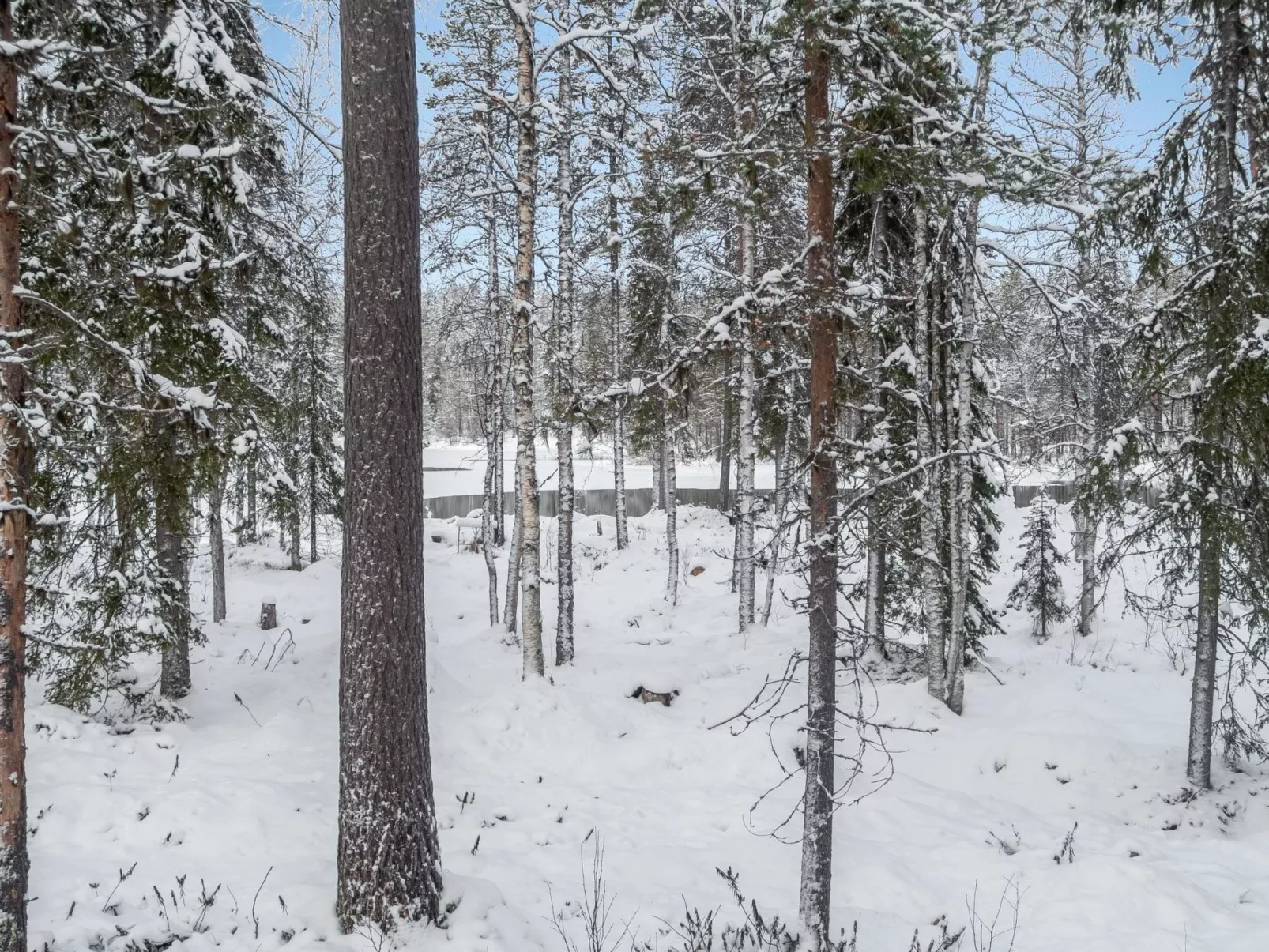 Kiehtäjän virta-Inside