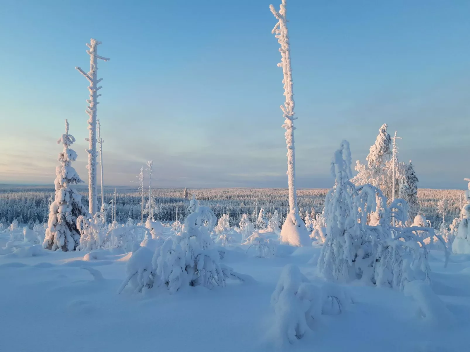 Backcountry base-Inside