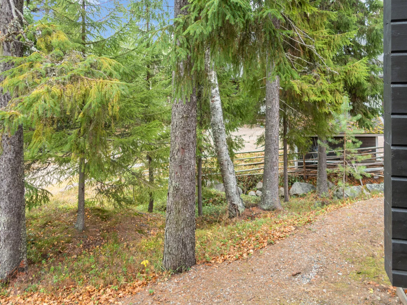 Vuokatin alma-Dedans