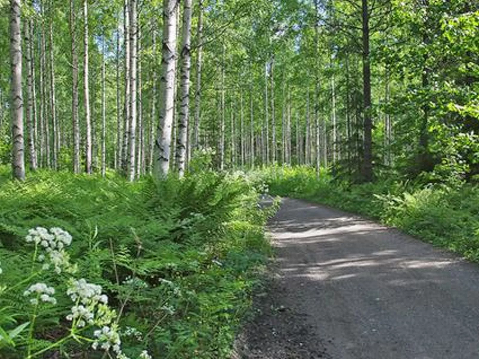 Kopinkallio 2-Dedans