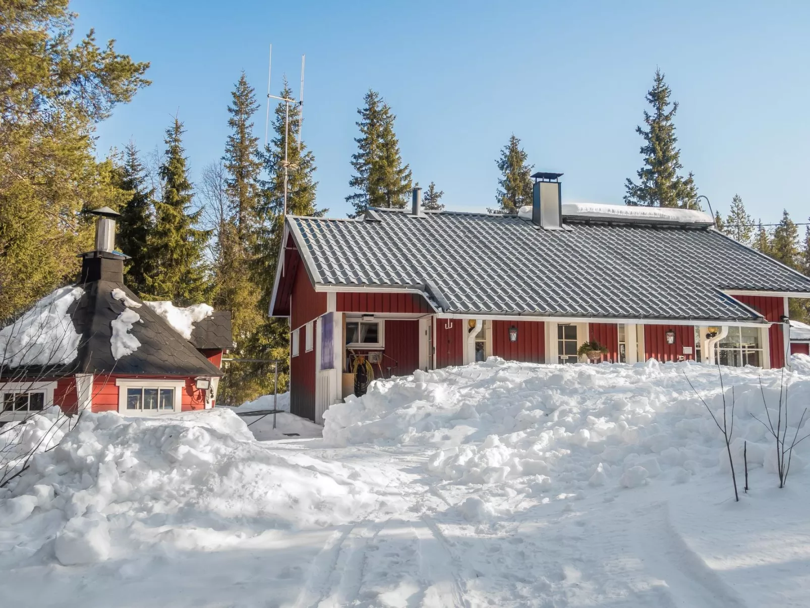 Peukaloinen b1-Dedans