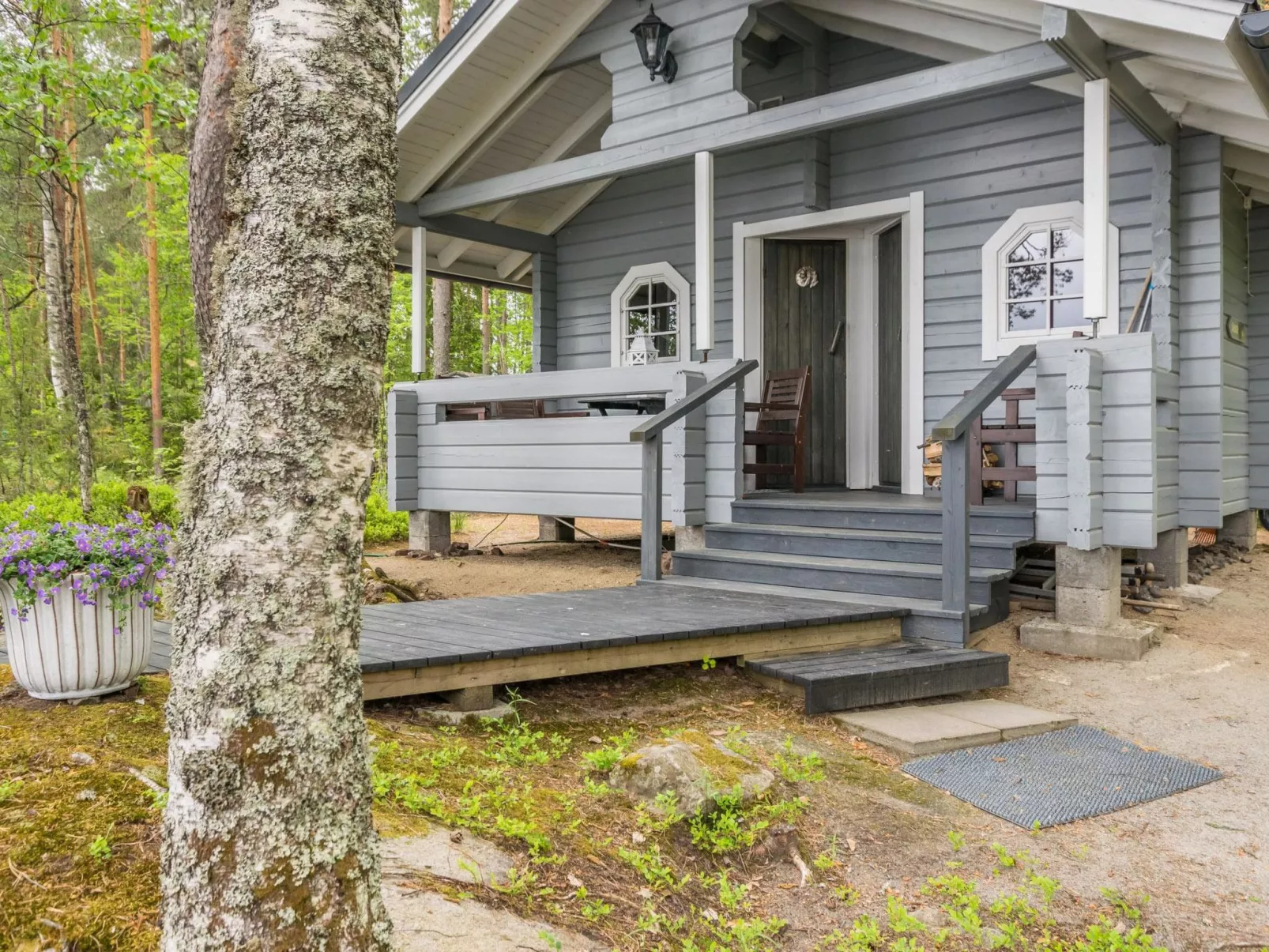 Tervapääsky-Drinnen