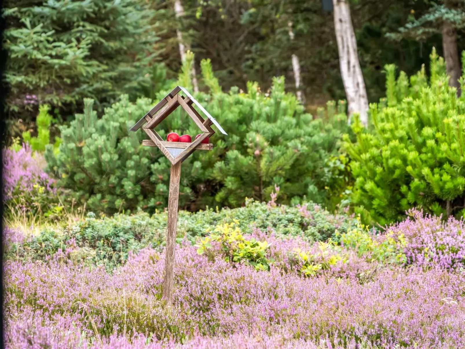 "Eeske" - 2.5km from the sea-Outside