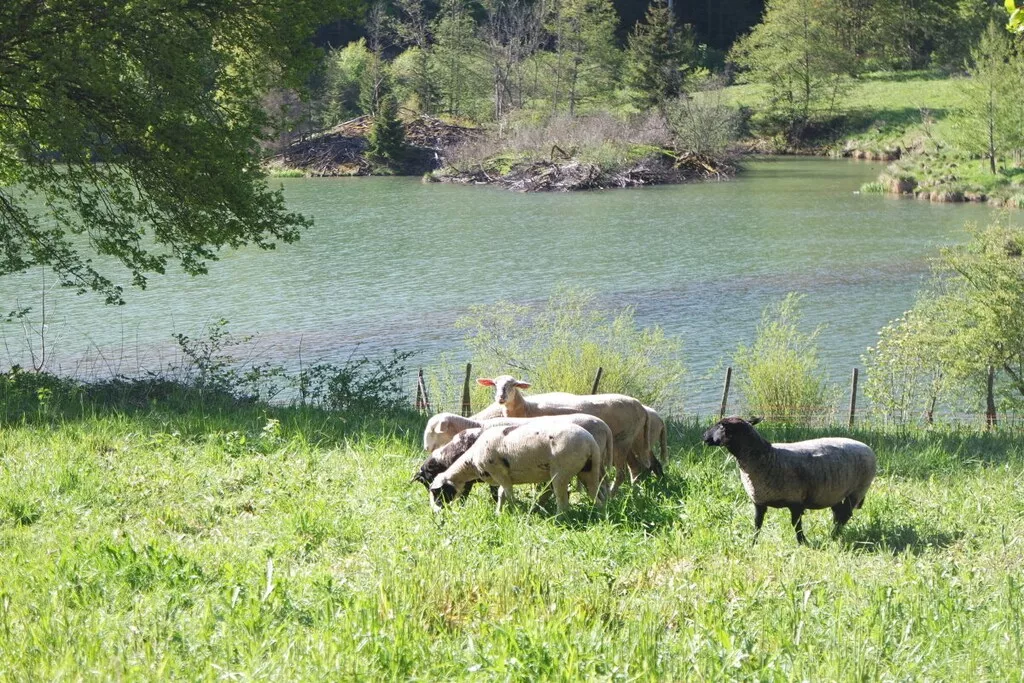 378160-Nicht zugeordnet