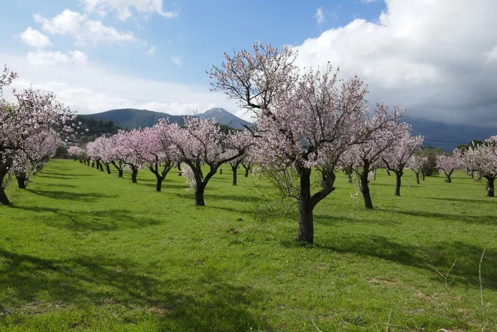 452041-Nicht zugeordnet