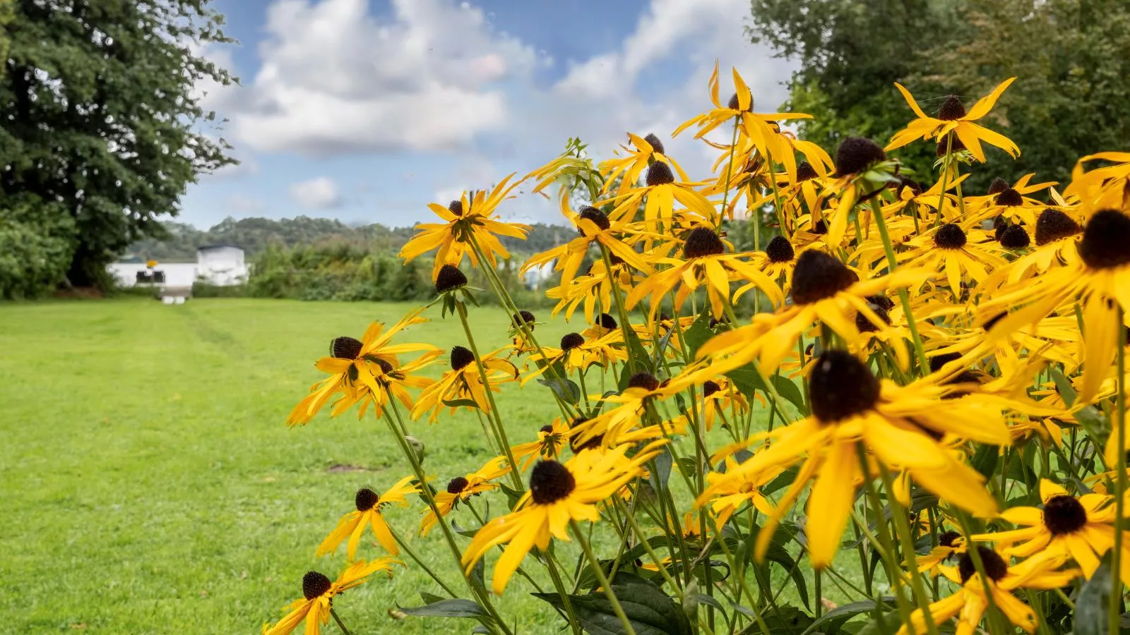 Nelson-Gardens in summer