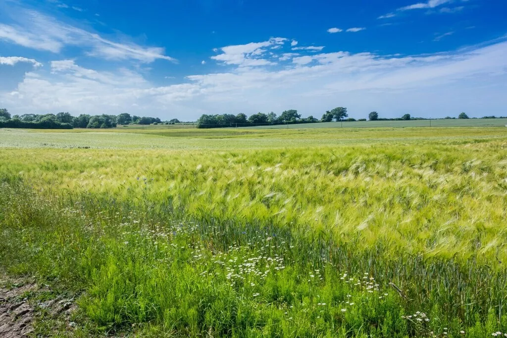 581116-Nicht zugeordnet