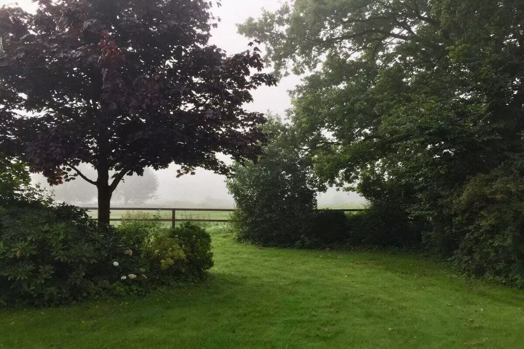 316903-Nicht zugeordnet