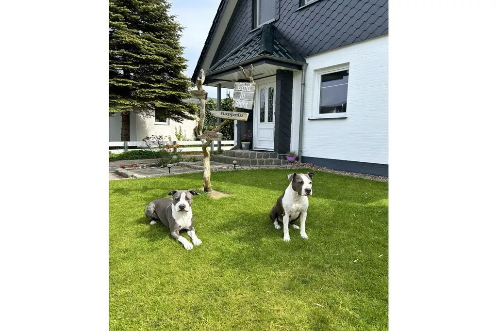 447524-Nicht zugeordnet