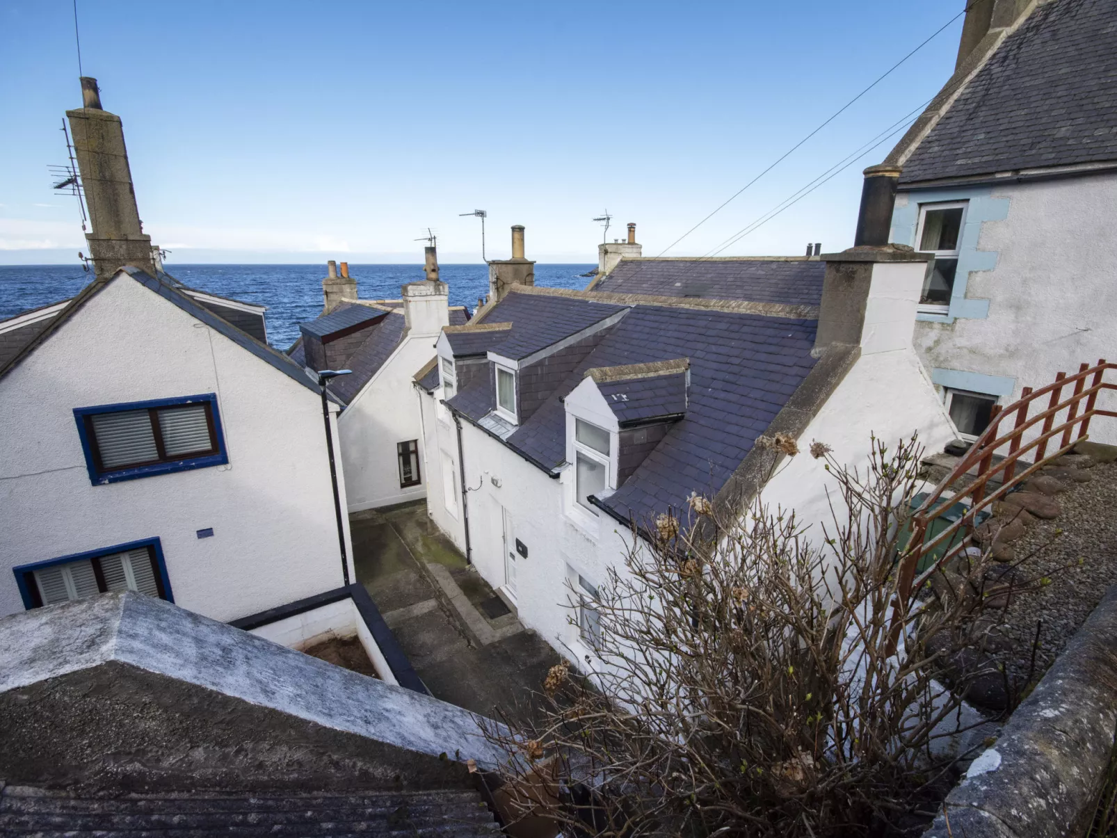 Ellie-Jo Cottage-Dehors