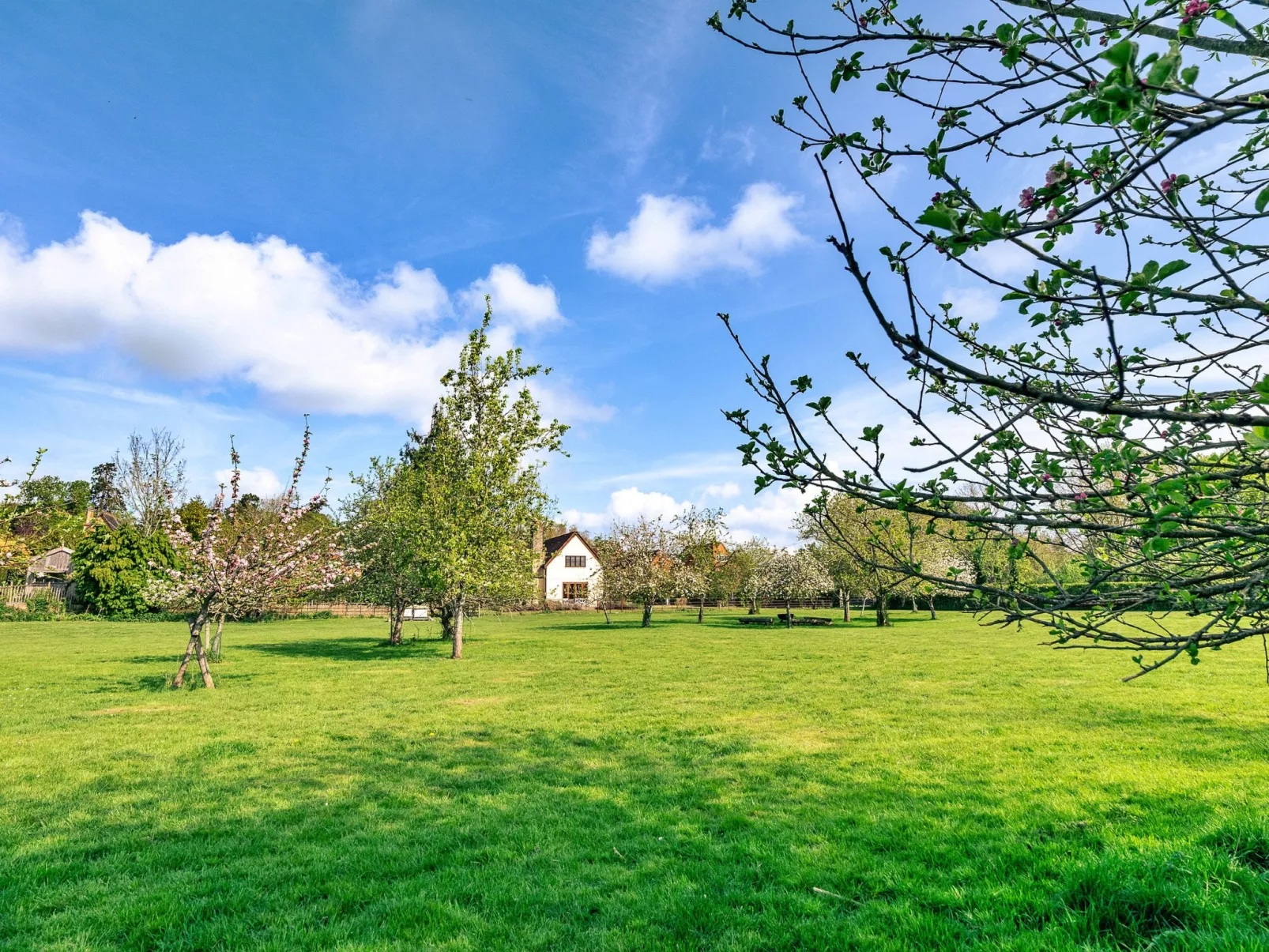 Windfall Cottage-Dehors